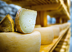 Food and Beverage Industry