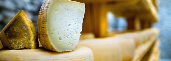 Food and Beverage Industry