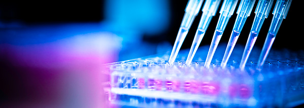 Pharmaceutical Industry